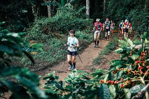 BIB: 
                            <button type="button" onclick="openModal(25840466)" class="btn btn-primary btn-sm float-right btn-popup" data-toggle="modal" data-target=".modal-high-quality">
                        <i class="fas fa-shopping-cart"></i> Add to Cart
                    </button>
                                            <button type="button" onclick="isThisMe(25840466, true)" class="btn btn-success btn-sm float-right btn-popup btn-isme hidden" data-toggle="tooltip" data-placement="bottom" title="นี่คือรูปของคุณใช่ไหม คลิกที่นี่เพื่อเอาเข้าอัลบั้ม">
                        <i class="fas fa-plus"></i> Add to album
                    </button>
                    <button type="button" onclick="isThisMe(25840466, false)" class="btn btn-warning btn-sm float-right btn-popup btn-isnotme hidden">
                        <i class="fas fa-ban"></i> Remove from album
                    </button>